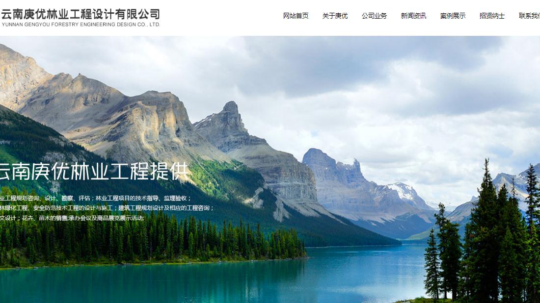 其它网站案例