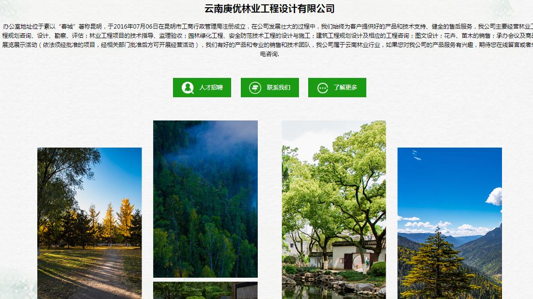 其它网站案例