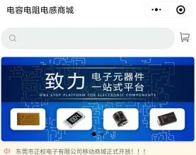 东莞市正权电子有限公司