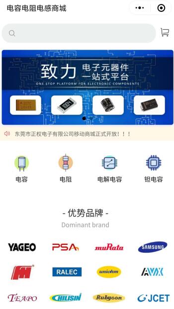 电子电工网站案例