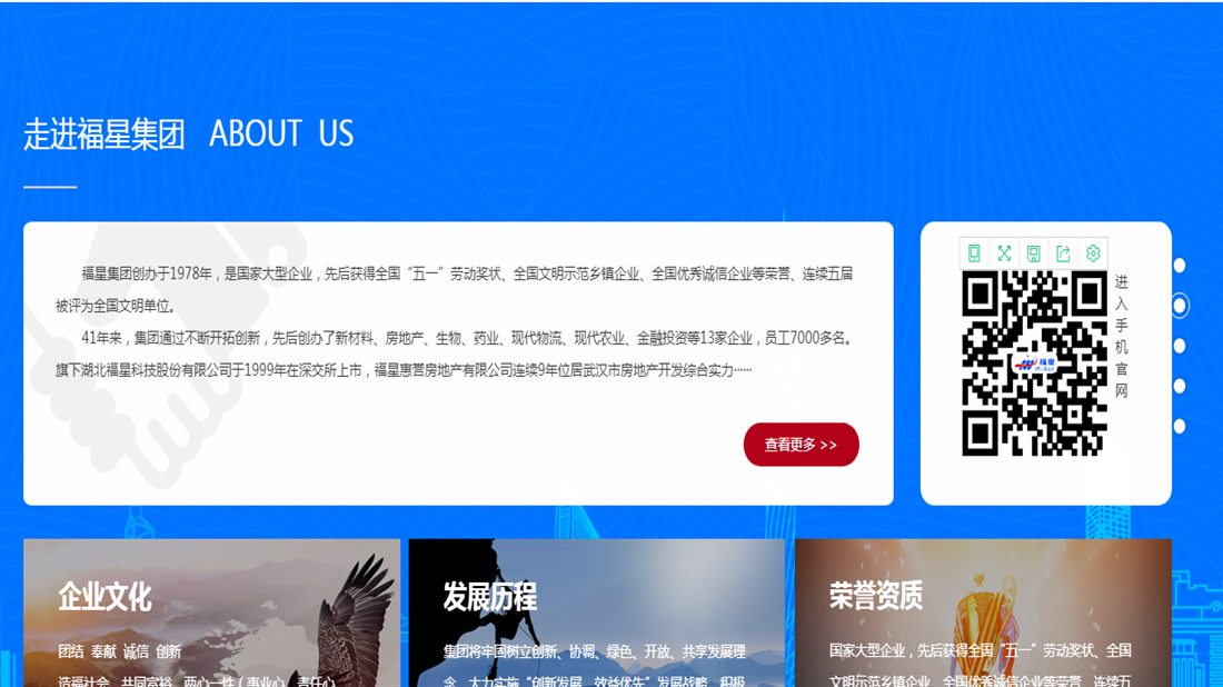 其它/医疗器械/房地产/商业服务网站案例