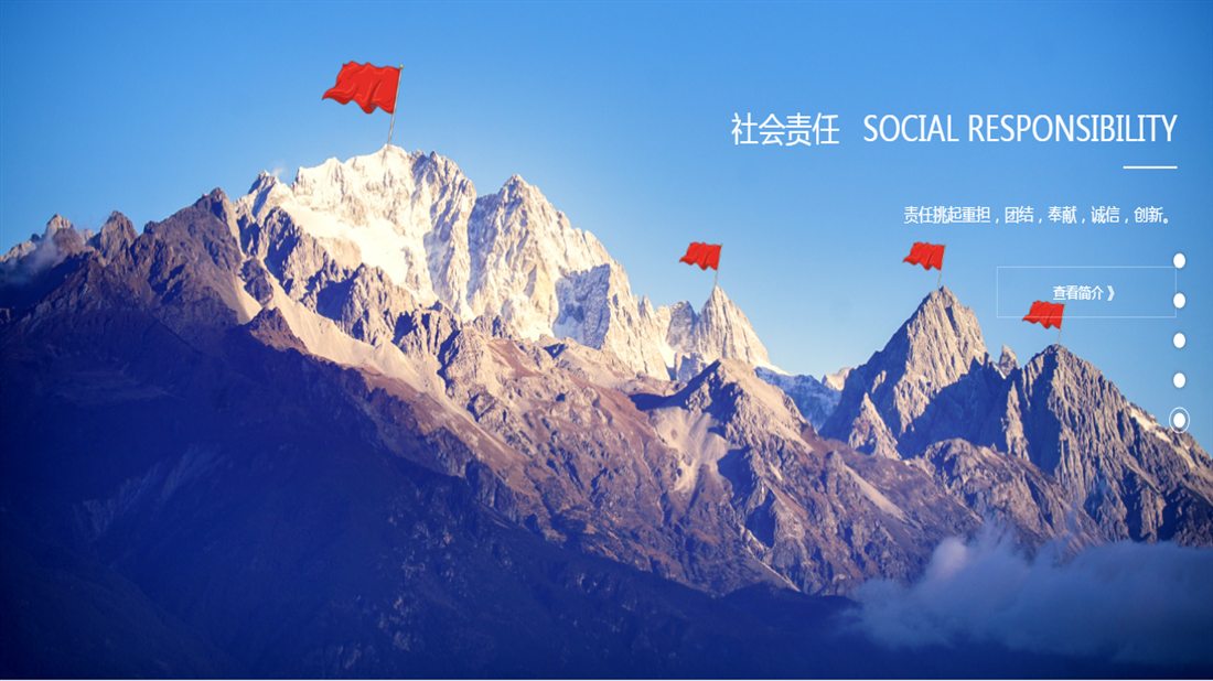 其它/医疗器械/房地产/商业服务网站案例
