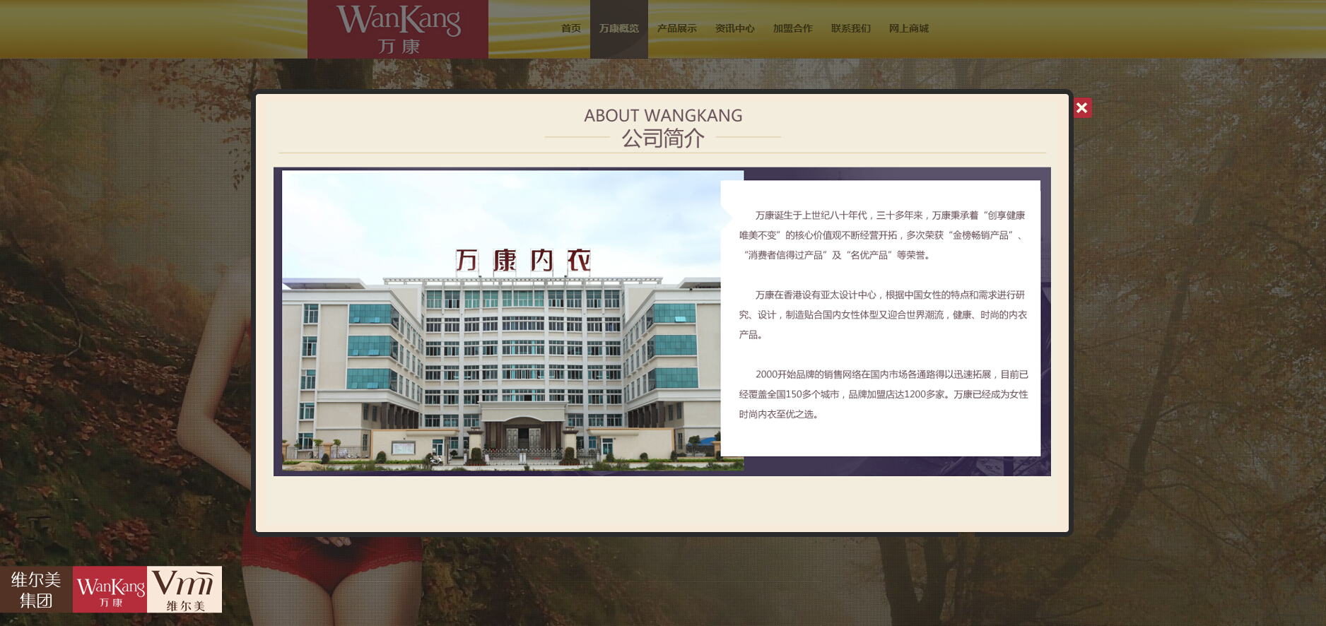 维尔美制衣 高端网站设计