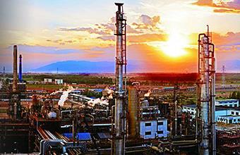 迈道驰石油化工(天津)有限公司