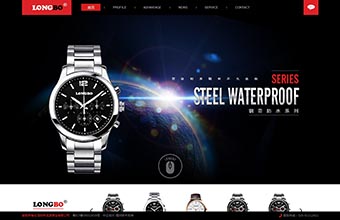 深圳市龙波表业有限公司