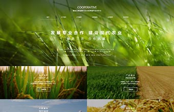 肇源县松花江精制米有限公司