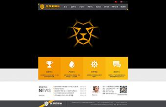 山东飞速赛车润滑科技有限公司