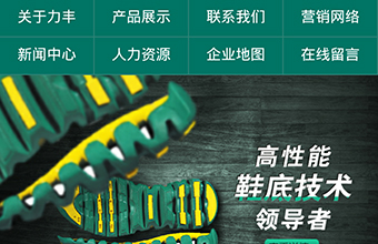 晋江力丰传奇体育用品有限公司