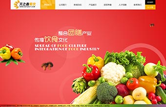 天之鑫餐饮 网站建设