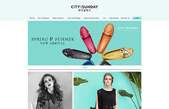星期天鞋业 网站建设