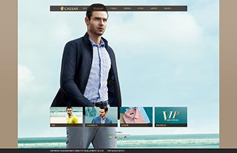 三特企业 网站制作