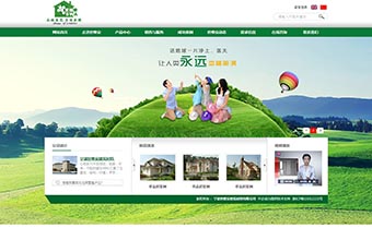 世维安 网站设计及制作