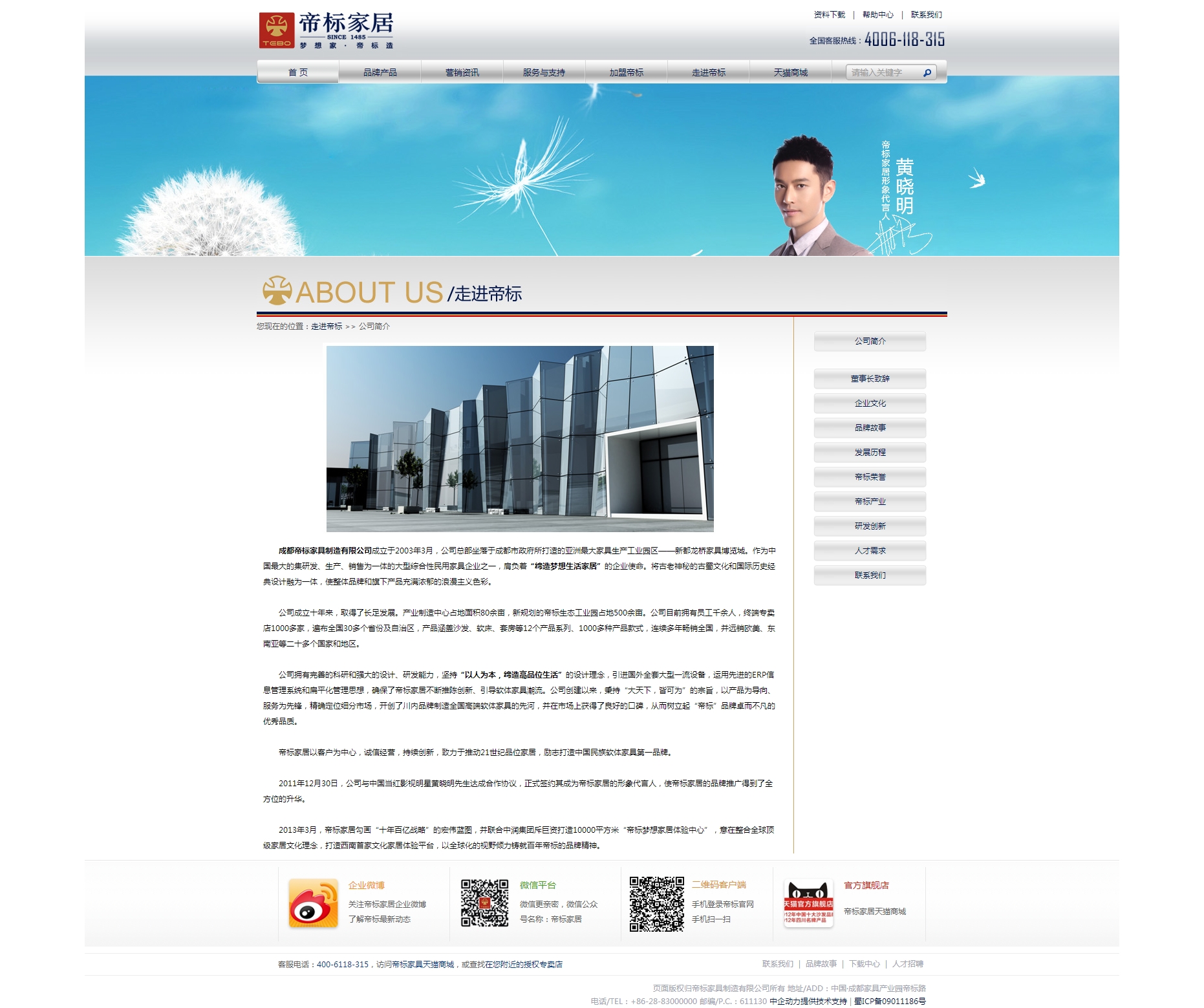 帝标家居 网站建设