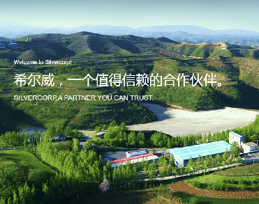 希尔威矿业有限公司