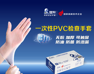 山东登升安防科技有限公司