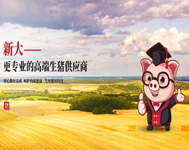 河南省新大牧业股份有限公司