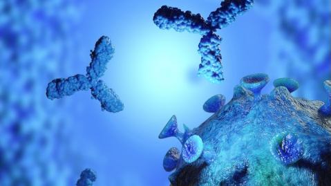 北京因诺惟康医药科技有限公司