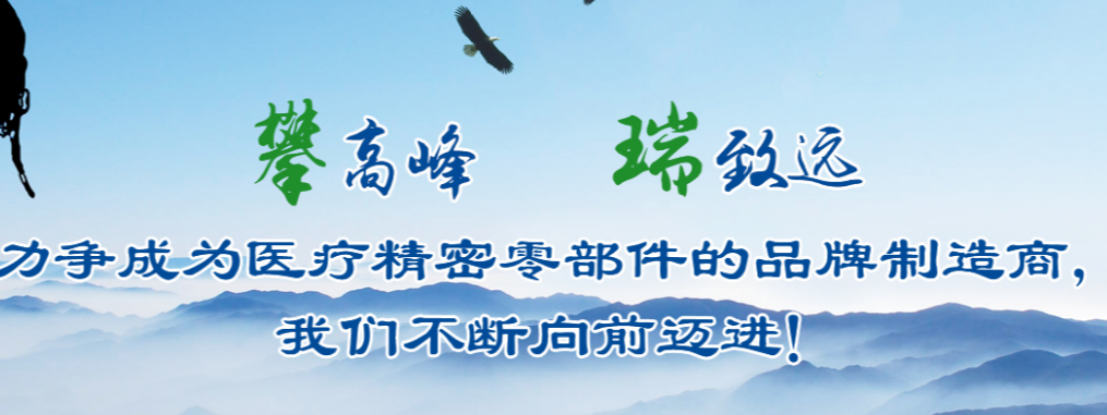 深圳攀瑞科技有限公司