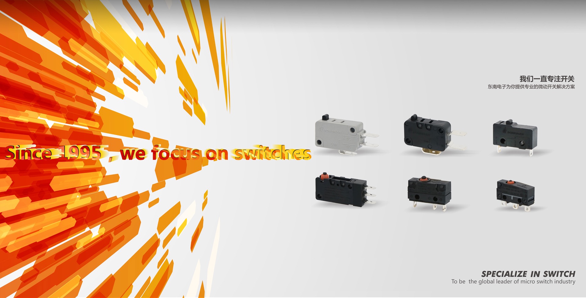 东南电子股份有限公司