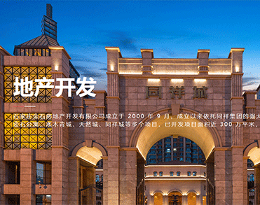同祥控股集团有限公司