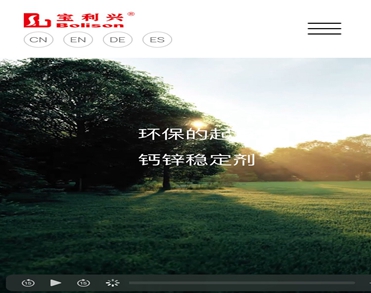  广东宝利兴科技有限公司
