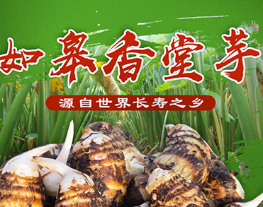 金旺农场