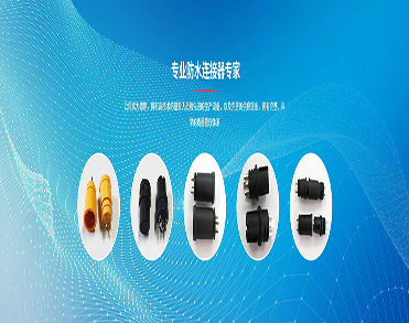 东莞市蓝拓电子科技有限公司