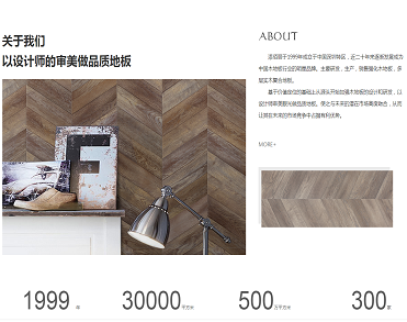 添佰丽美学地板