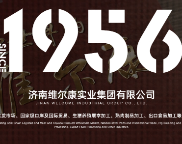 济南维尔康实业集团有限公司