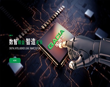 加西亚电子电器股份有限公司
