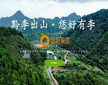 贵州恁好果业有限公司