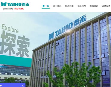 合肥泰禾智能科技集团股份有限公司