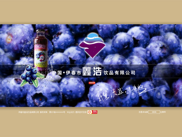 伊春市鑫浩饮品有限公司