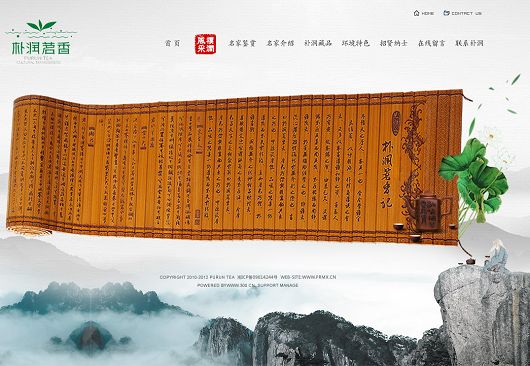 企业网站建设成功案例  Z 网站