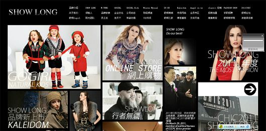 企业网站建设成功案例  Z 网站