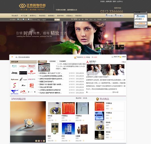 企业网站建设成功案例  Z 网站