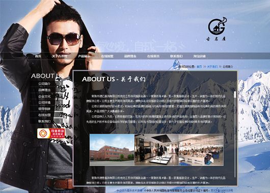 企业网站建设成功案例 Z 网站