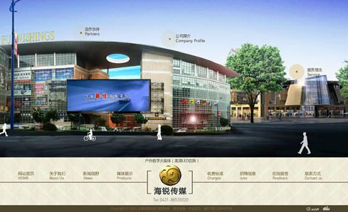 企业网站建设成功案例  产品类型：Z 网站