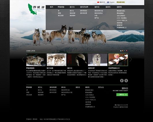 企业网站建设成功案例  Z 网站