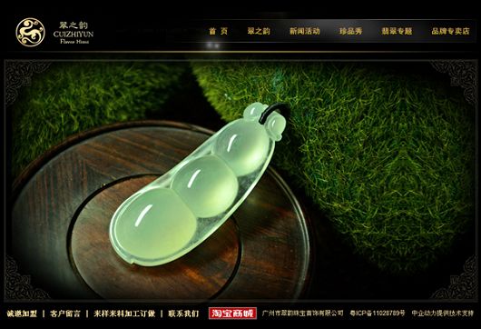 企业网站建设成功案例  Z 网站