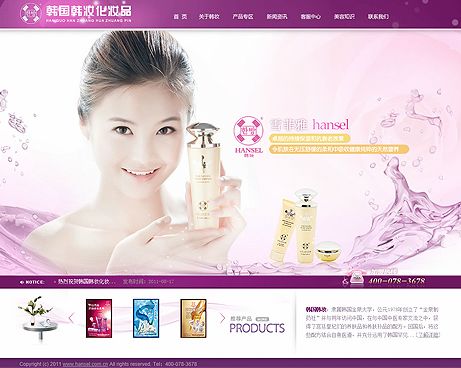 企业网站建设成功案例 Z 网站