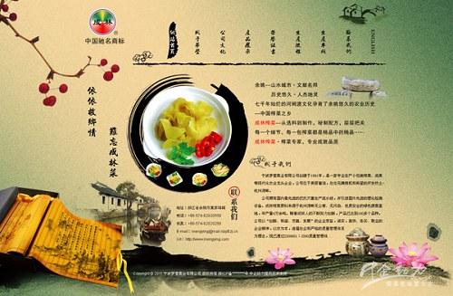 企业网站建设成功案例 Z 网站建设 