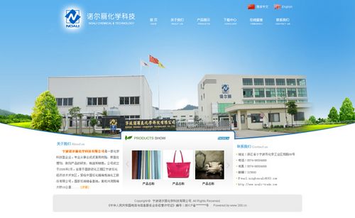 网站建设案例-宁波诺尔丽化学科技有限公司