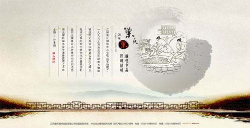 网站建设案例-江苏巢氏调味食品有限公司