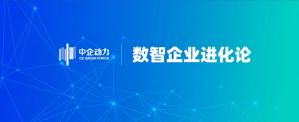 让世界闻到香杉的味道，「广西壮象木业」数字化出海之路