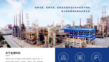 民营企业的“500强”网站是什么样子？