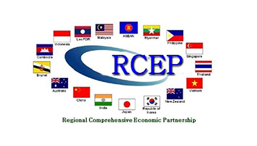RCEP！外贸人的春天来了！