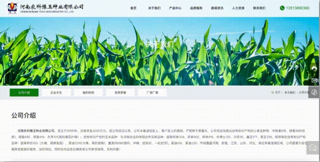 省钱省力！全能小编星欧注册免费送 | 数字百宝箱001期